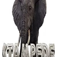Stampede
