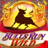 Bulls Run Wild game cover