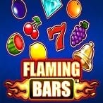 Flaming Bars game cover